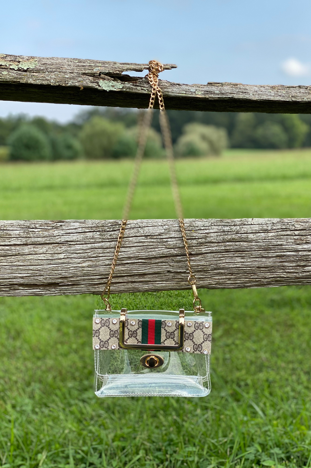 Clear Bag (LV & GG)
