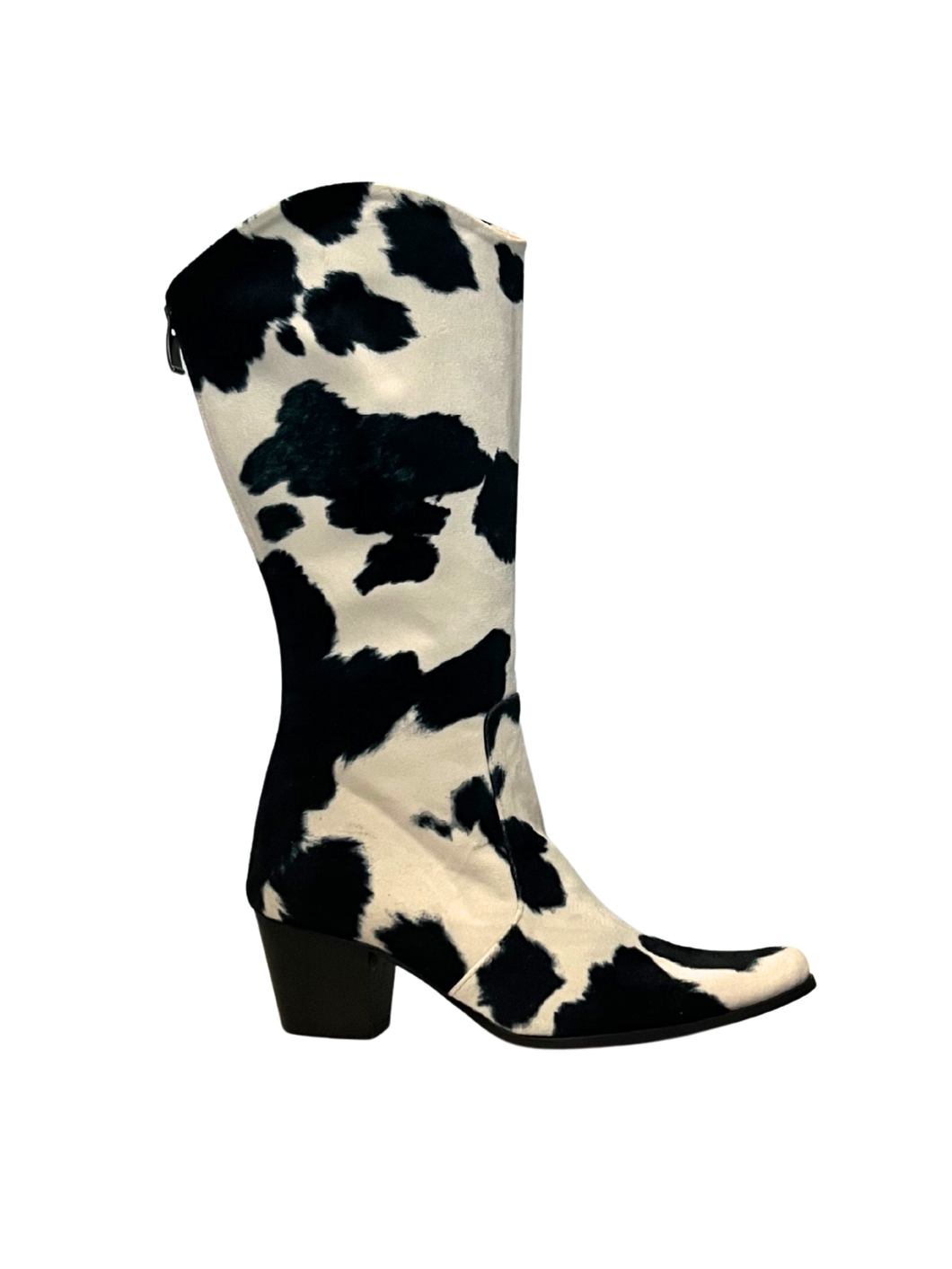 Telluride Modern Cowboy